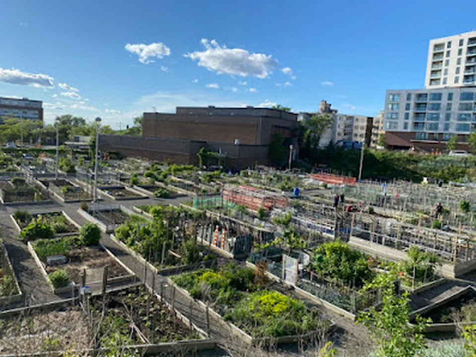 Jardin communautaire Châteaufort, Montréal