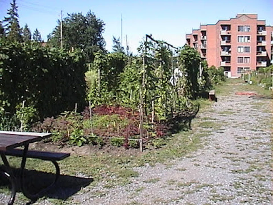 Jardin communautaire Babylone, Montréal