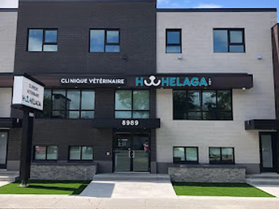 Clinique Vétérinaire Hochelaga - Vet et Nous, Montréal