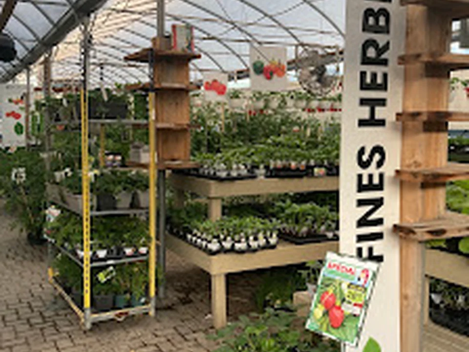 Faucher Plantes & Pavés, Montréal